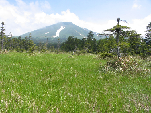 富良野岳の写真