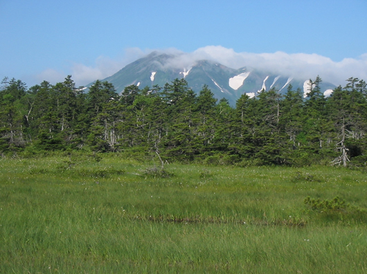 沼ノ原からトムラウシを望む風景写真