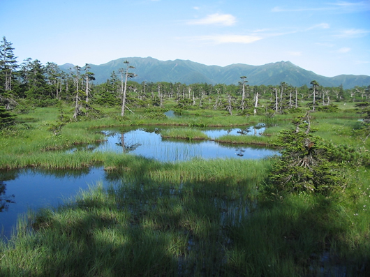 沼ノ原湿原の写真