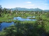 沼ノ原湿原 