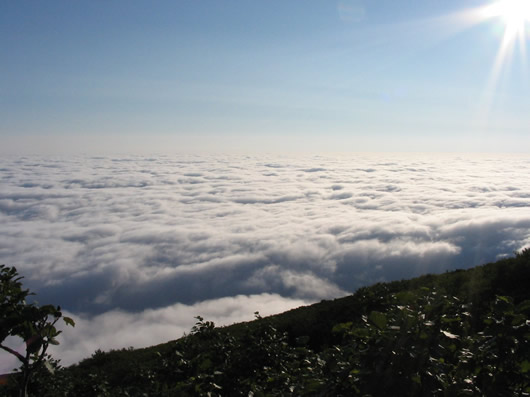 利尻岳から雲海を望む風景写真
