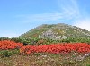 稜雲岳