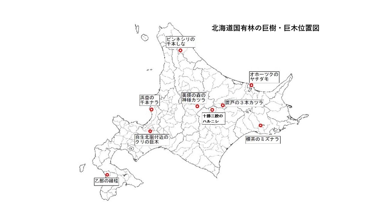 巨樹巨木位置図