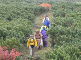 清掃登山