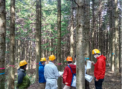 共同施業を進めるにあたっての現地打ち合わせ