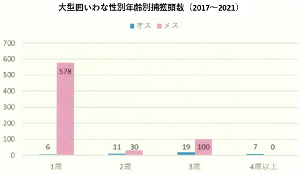 大型囲いわな性別年令別捕獲頭数