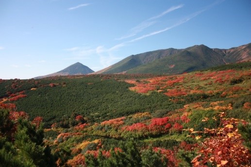 十勝岳からの展望