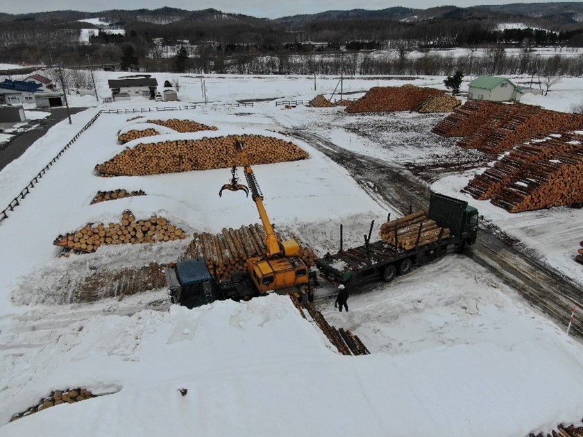 下川町の共同土場の使用状況（右：町有林材、左：国有林材）