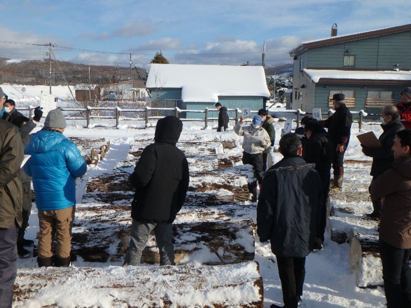 共同土場でのせり売りの様子