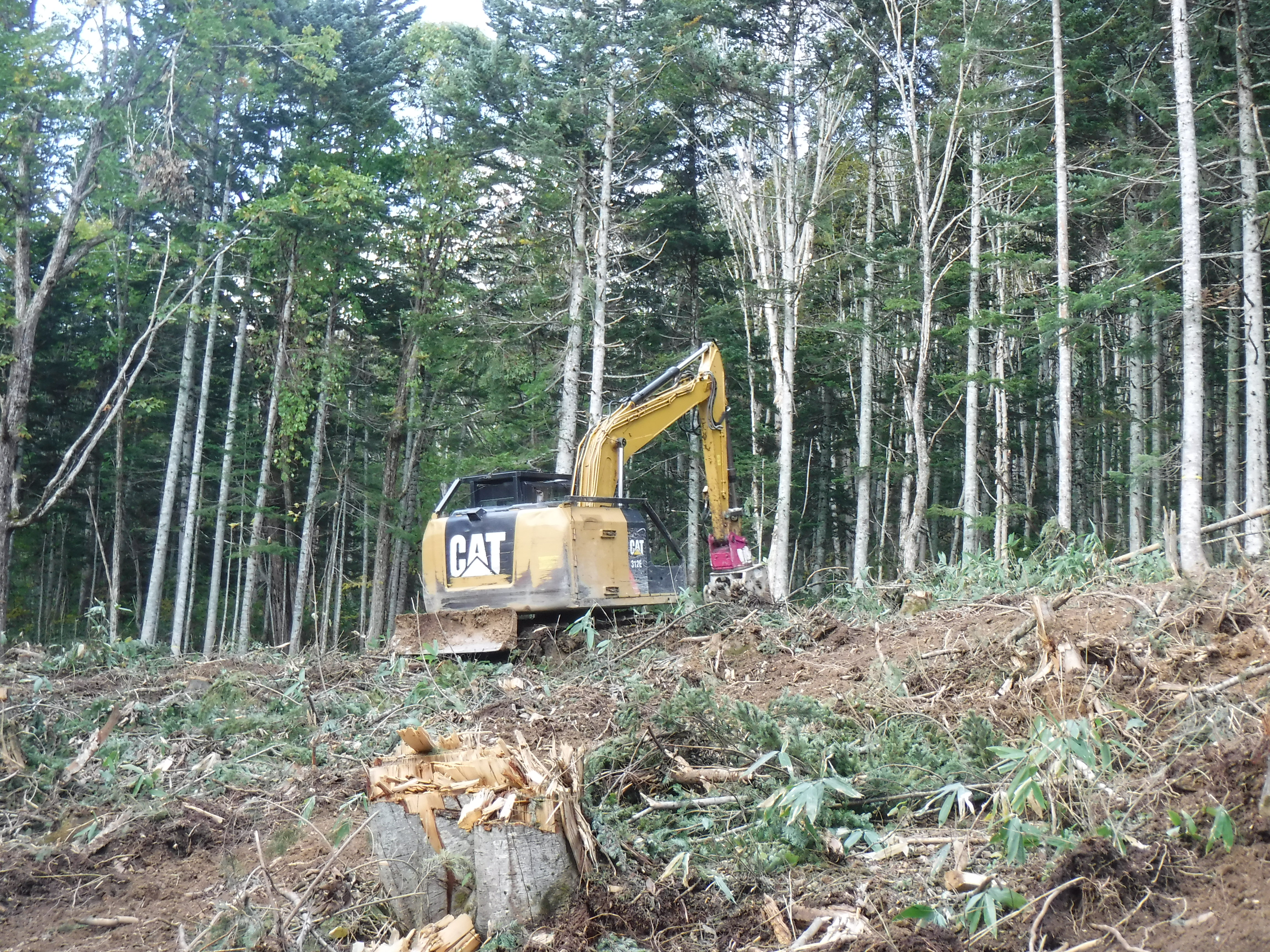 大型機械(重機)を使った地拵作業の様子