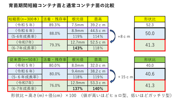 育苗期間短縮コンテナ苗と通常コンテナ苗の比較