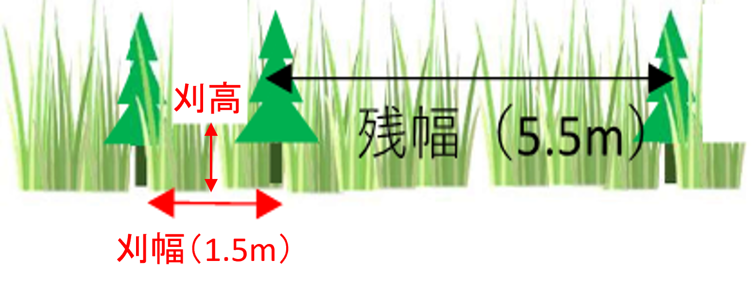 図1：トドマツ2条植えでの刈払指示図