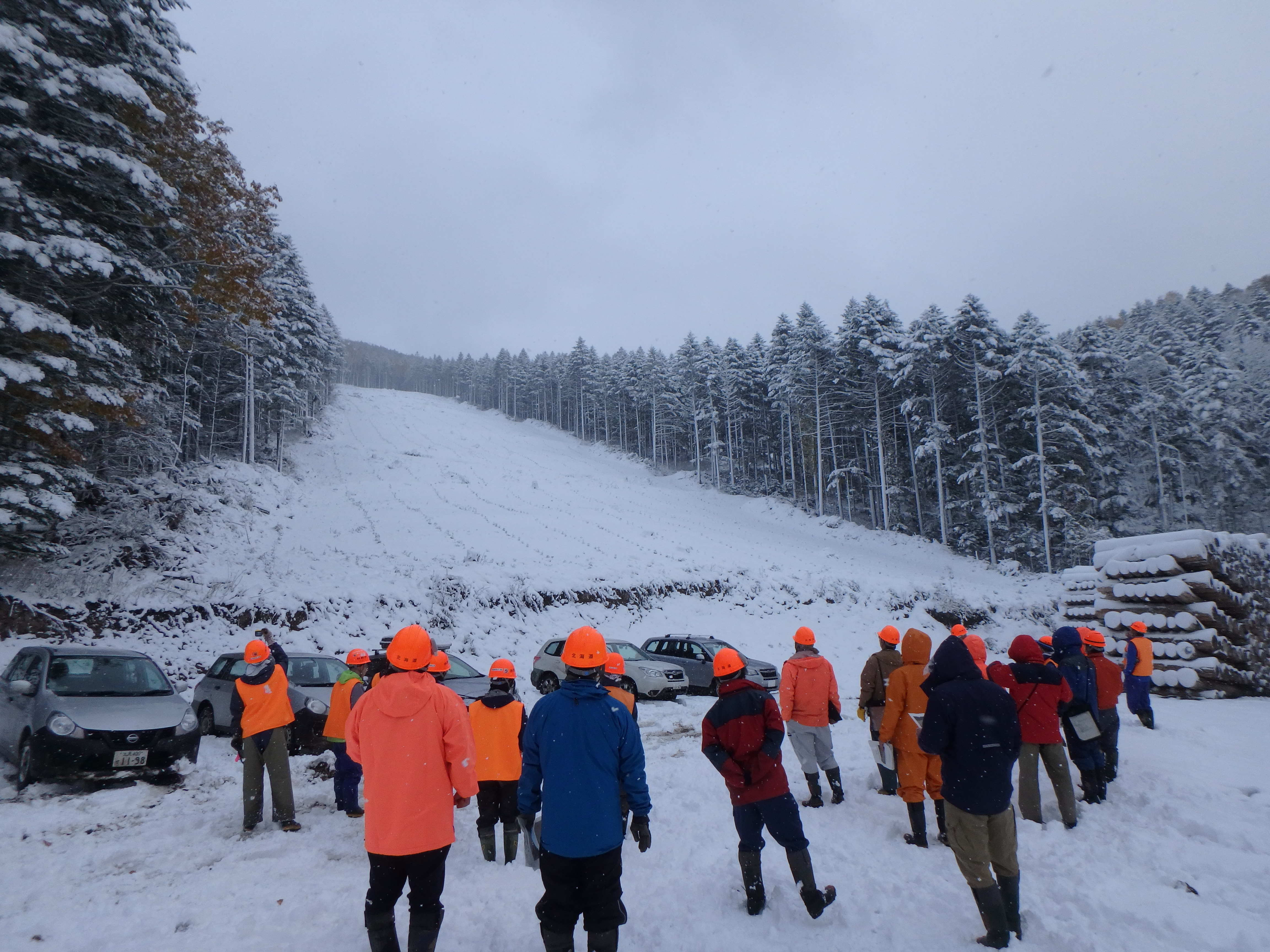 大型機械地拵　植付箇所を眺める参加者