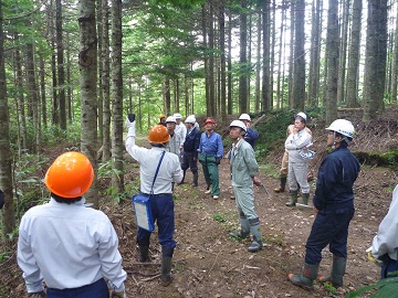 せたな町民有林での現地研修会