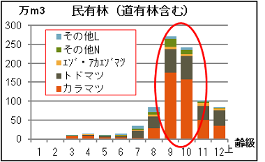 民有林の齢級機種別グラフ、半数以上をカラマツが占めており、9齢級と10齢級が特に多くなっている。