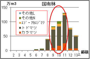 国有林の齢級樹種別グラフ、ほぼトドマツは占めており、9から11齢級が多くなっている。