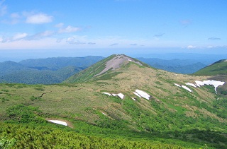 天塩岳風景林写真