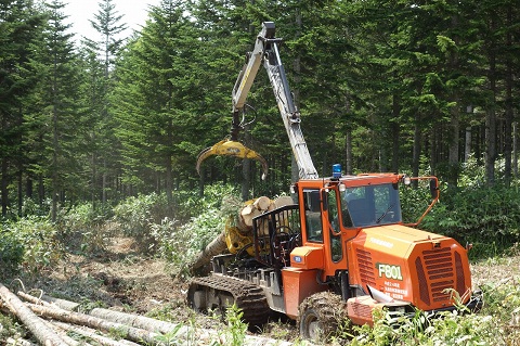 高性能林業機械による搬出の写真