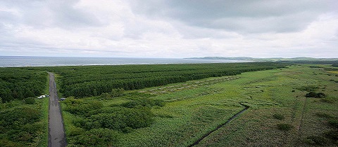 メークマ海岸防災林の現況の写真