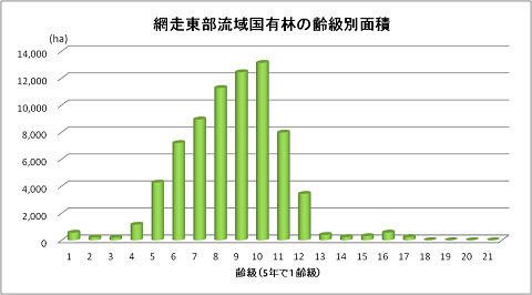 国有林齢級別グラフ