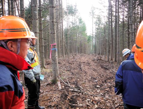列状間伐実施箇所で伐採跡を見ながら現地検討している写真