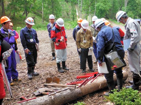 さまざまなコンテナ苗用植え付け器具を見学している写真