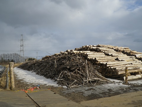 土場に大量の木材が積まれている写真