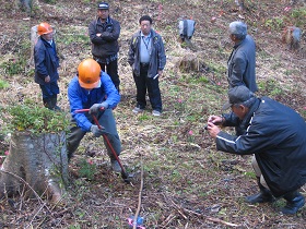 コンテナ苗の植付け作業を見ながら意見交換等をしている写真