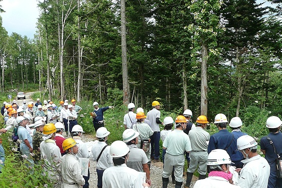 森林作業道作設の検証・検討会