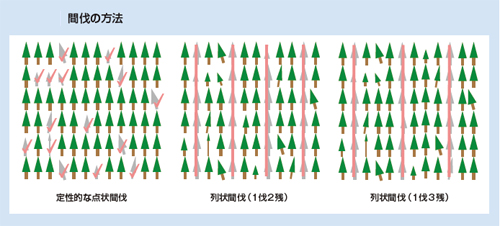 間伐の方法