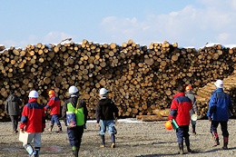 発電用木質バイオマス資材の供給基地を視察