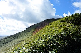 無意根山