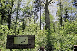 野幌森林公園