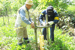 市民のみなさんと植栽木の保育作業