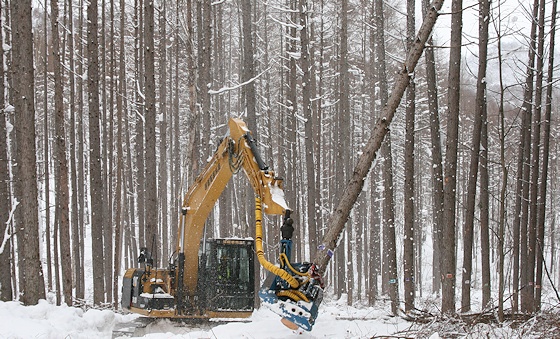 高性能林業機械による高効率で安全な間伐作業