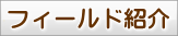 研究フィールドの紹介