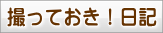撮っておき！日記
