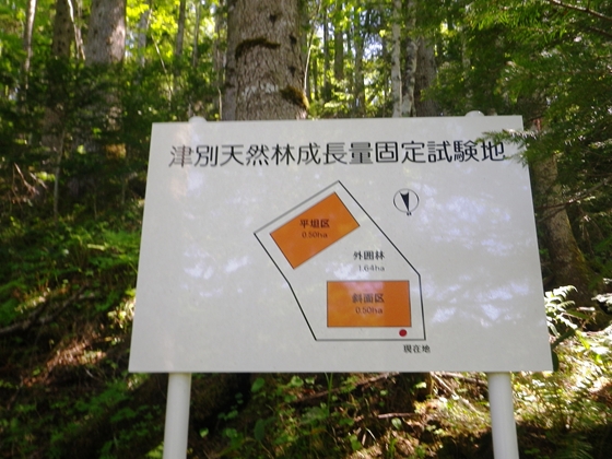 津別天然林成長量固定試験地の看板