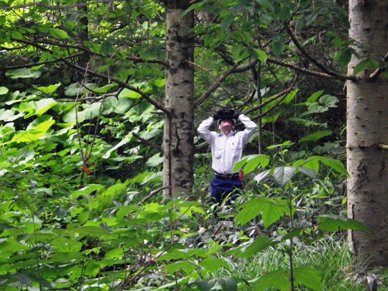 樹冠を双眼鏡で観察