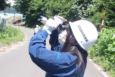道路からの調査は見やすい