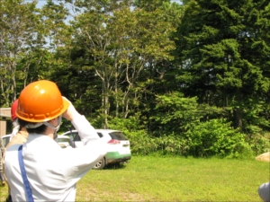 （その後、木の頂上を測り、樹高を算出）