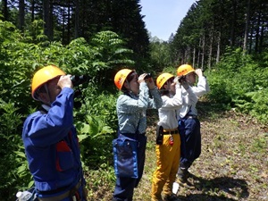 樹冠の着花(果)状況を観察し、豊凶を判定