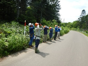 公道沿いでの調査