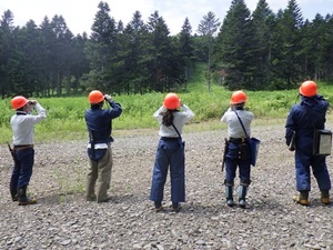 作業道沿いでの調査