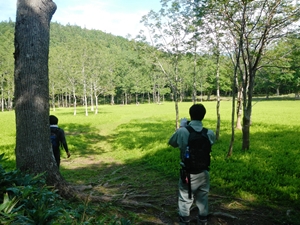 ポンホロ沼まで降りてきました。真ん中にシカ道が見えます。