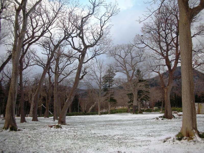 国設知床野営場