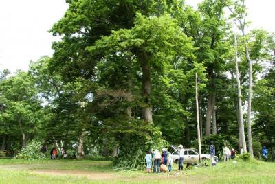 3つの基地