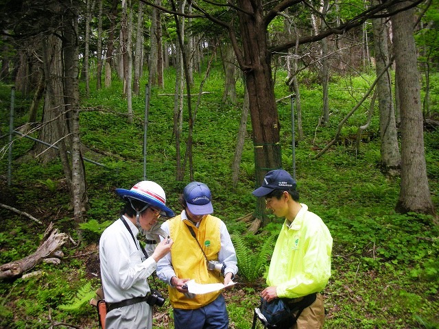 柵内点検箇所を確認するGSS