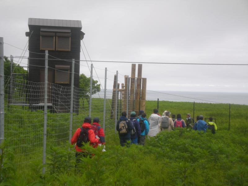 エゾシカ駆除のための簡易小屋