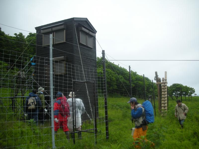 エゾシカ駆除のための簡易小屋です